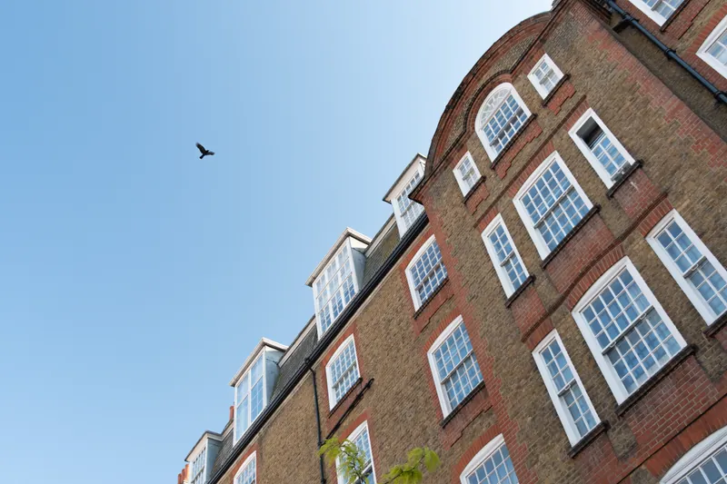 Crow flies, Hanover House. 2024.